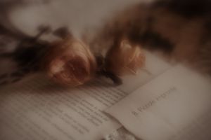 Ritratto ambientato a Cogliate – Dreaming. Ritratti intimi e ispirati, tra luce e atmosfera. Un’esperienza visiva autentica, la tua luce