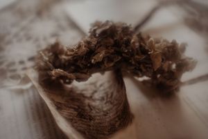 Ritratto ambientato a Cogliate – Dreaming. Ritratti intimi e ispirati, tra luce e atmosfera. Un’esperienza visiva autentica, la tua luce