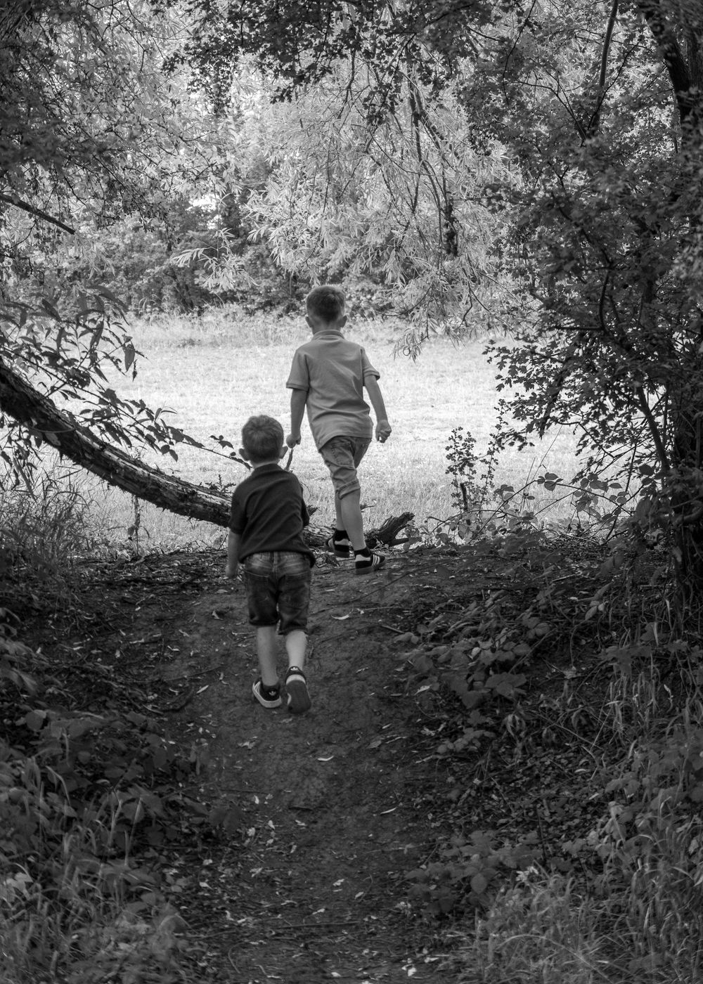 Family Photoshoot - Two figures walk down a shaded forest trail on a sunny afternoon.