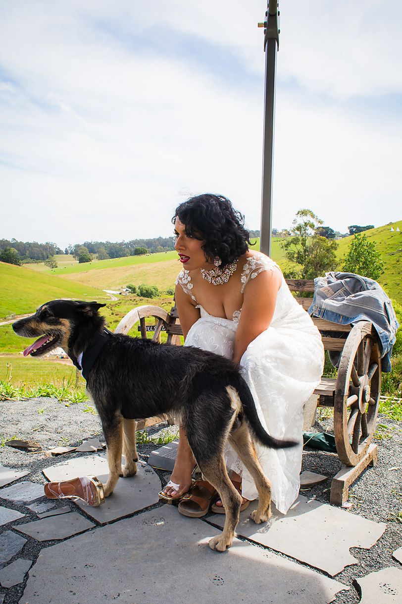 Bride in white dress sits and poses with a German Shepherd dog on an outdoor bench in multiple shots.