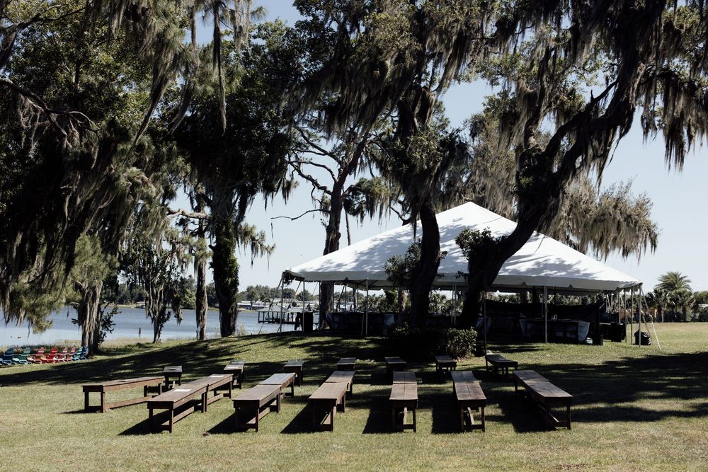 Spanish moss drapes over tall oak trees in a tranquil waterfront park setting.