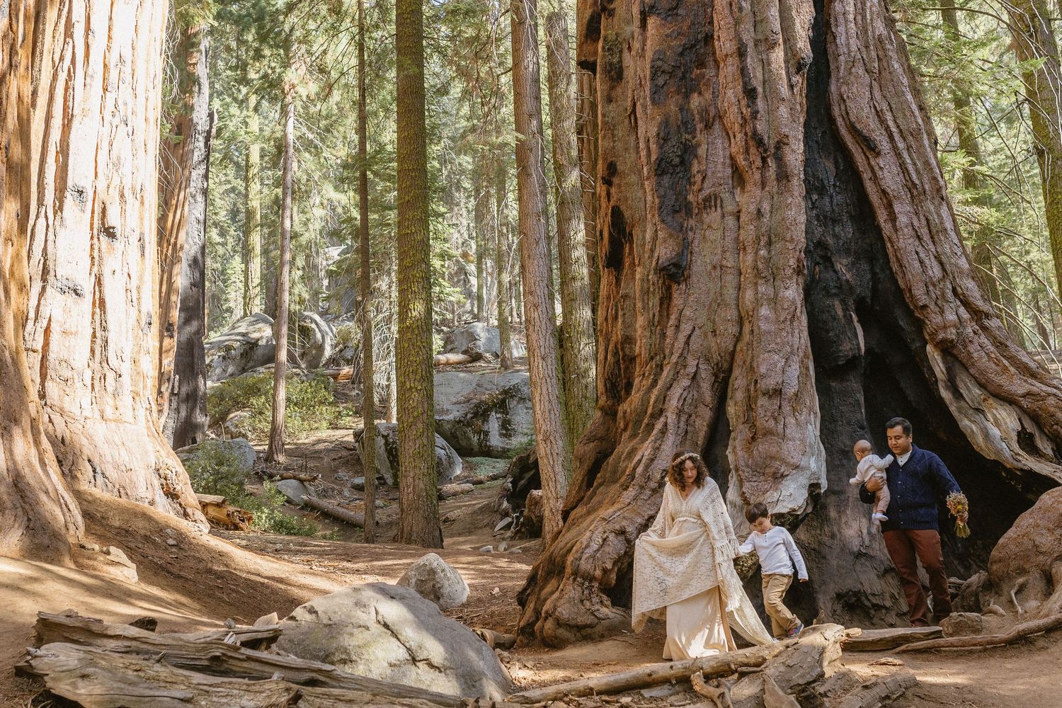Sequoia National Park photographer capturing a family vow renewal among the giant sequoia trees.