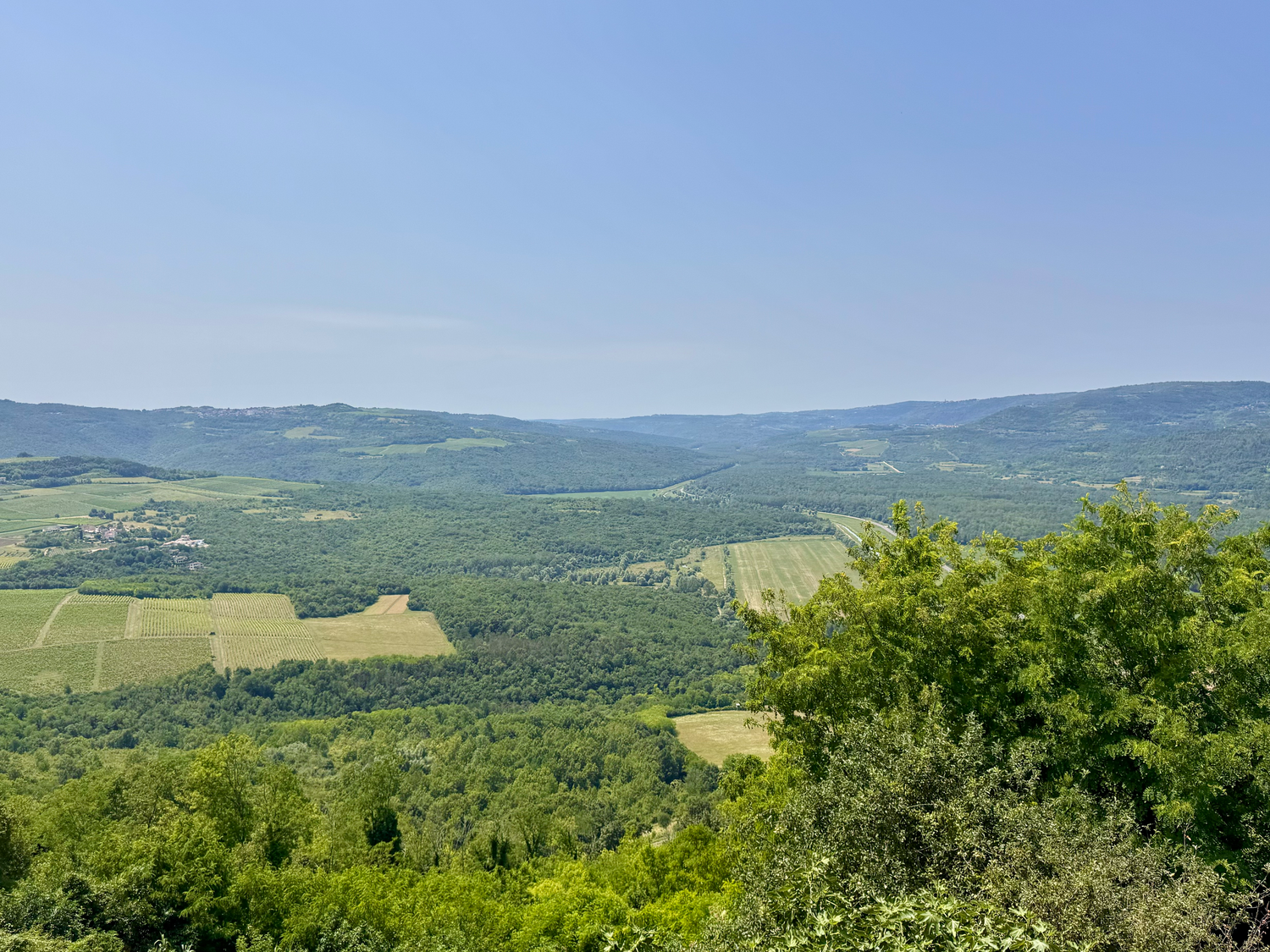 Rolling hills covered in a patchwork of green fields and forests stretch across a scenic rural mountain landscape.