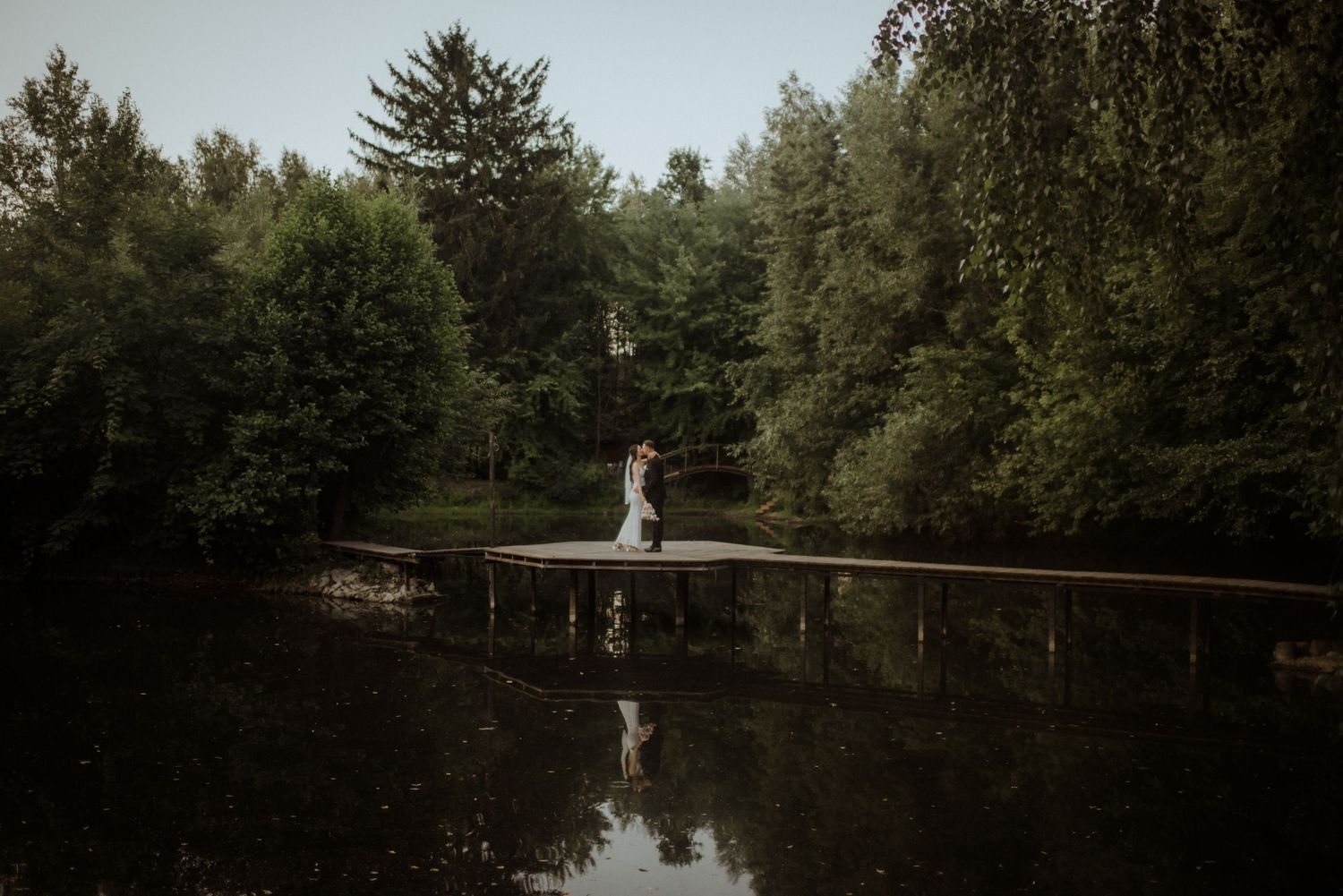 Panoramic view of a serene lake surrounded by pine trees and nature.