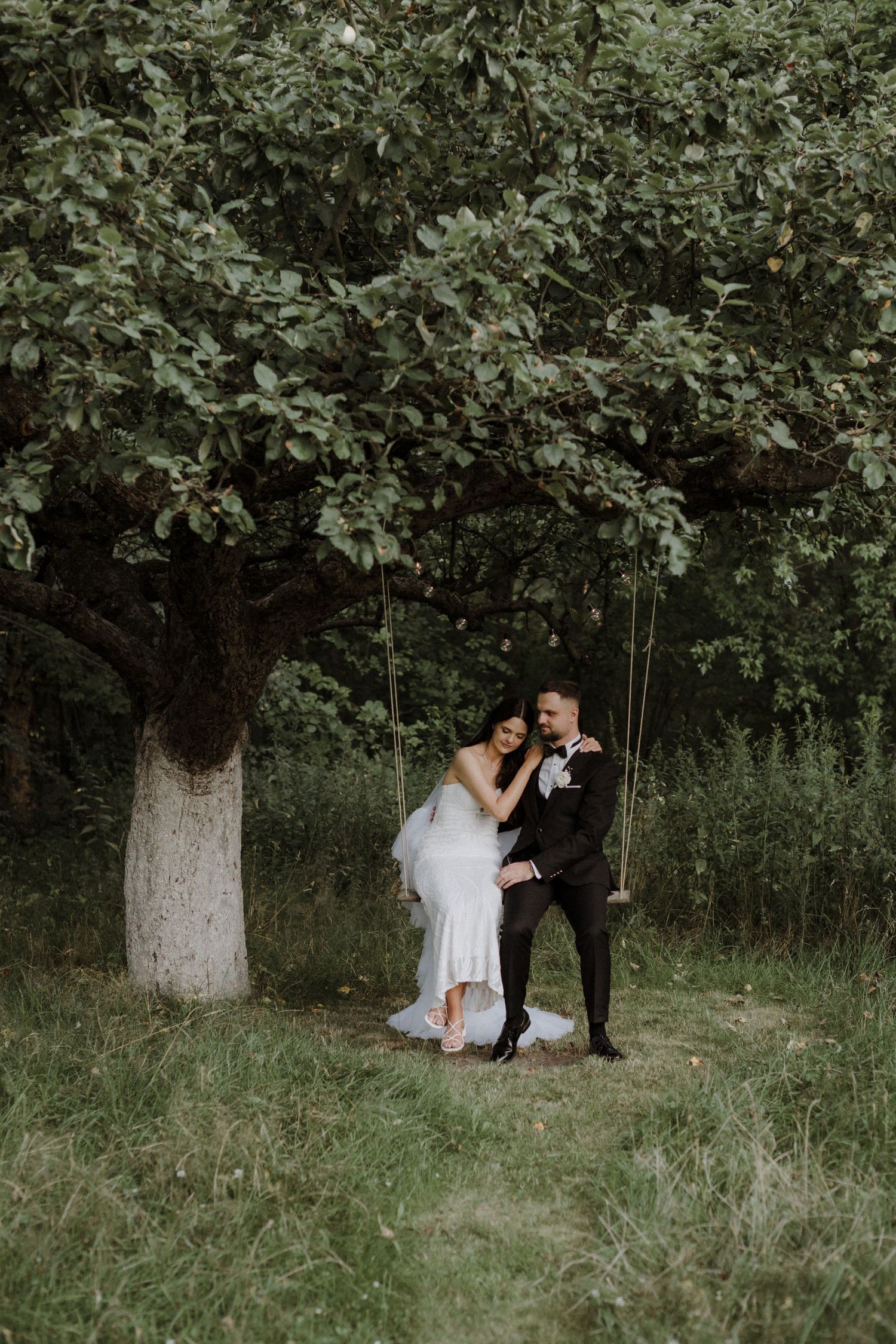 Couple sharing an intimate moment on a swing beneath a white-barked tree.