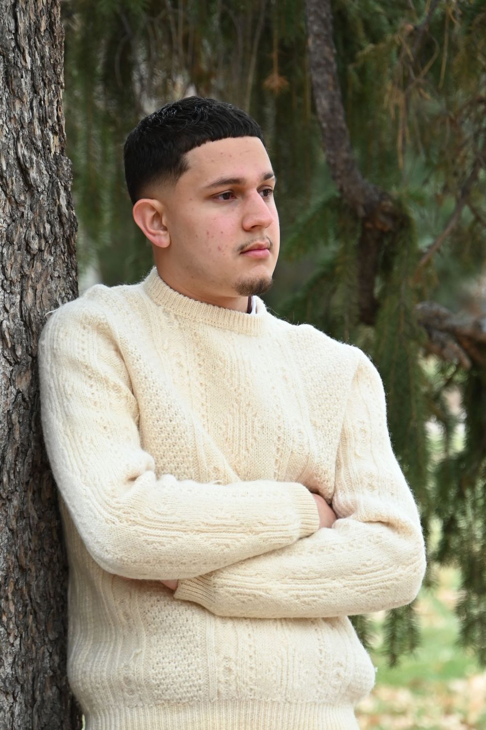 Person wearing a cream cable knit sweater leans against a tree trunk in a forest setting.