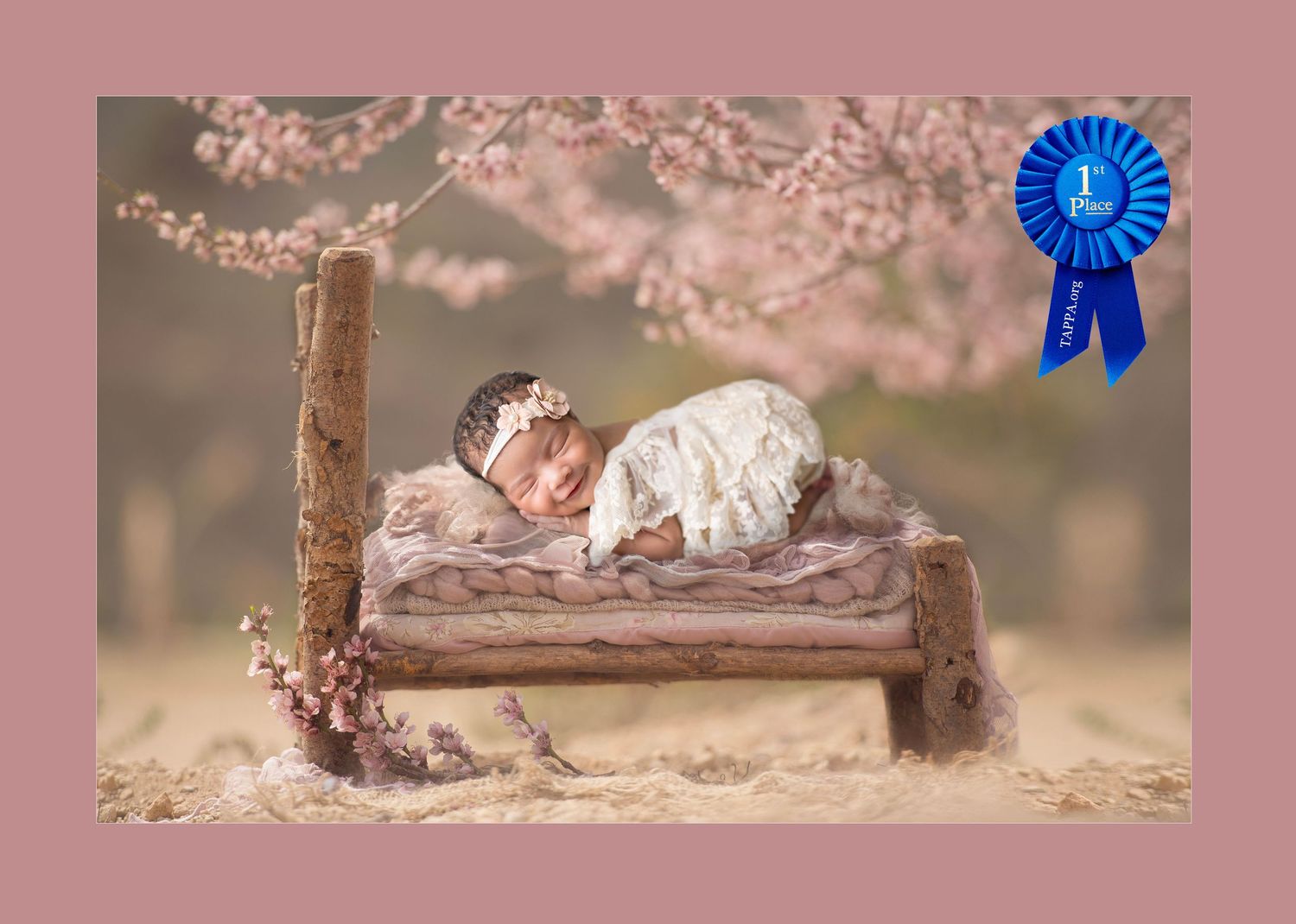 Tampa Florida Award Winning Top Photographer
