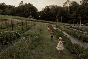 People walking along a garden path at dusk with raised garden beds and arched trellises in a rural setting.
