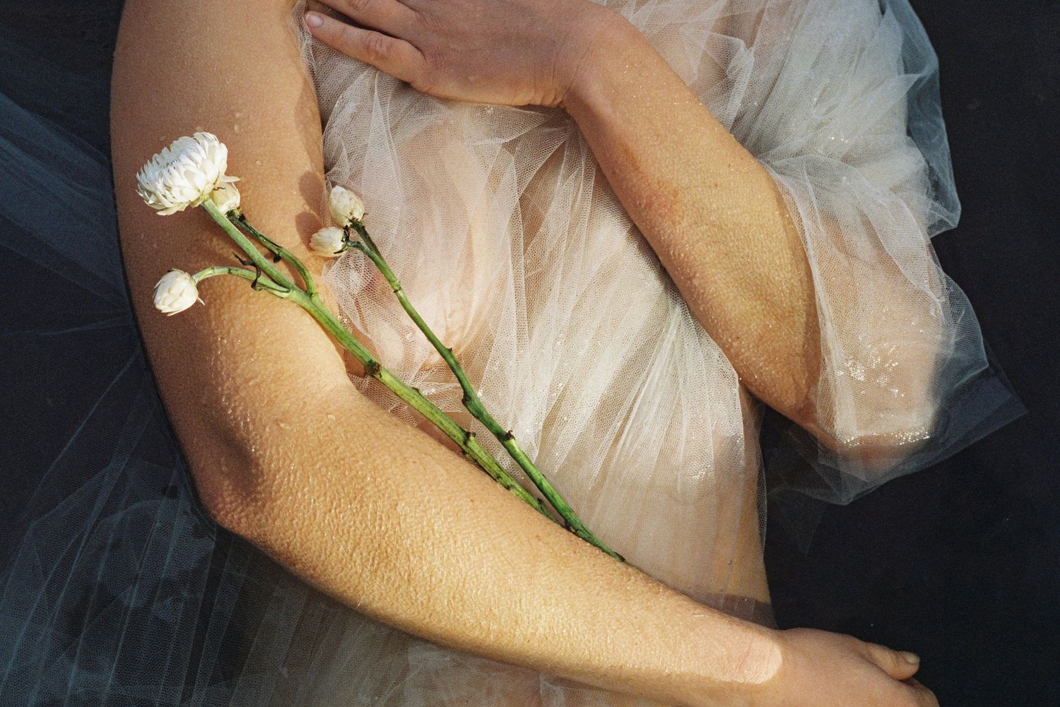 Dreamy riverside portrait with flowing tulle and native flowers – Lesmurdie Falls, Western Australia