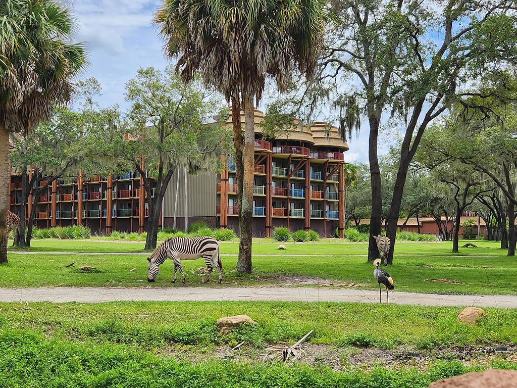 Panoramic view of palm trees and lodge buildings at Disney's Animal Kingdom resort.