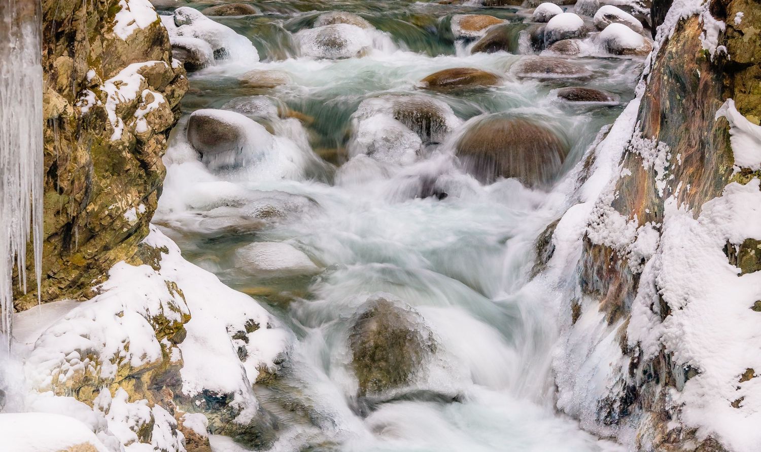 Lynn Creek, Lynn Canyon, North Vancouver