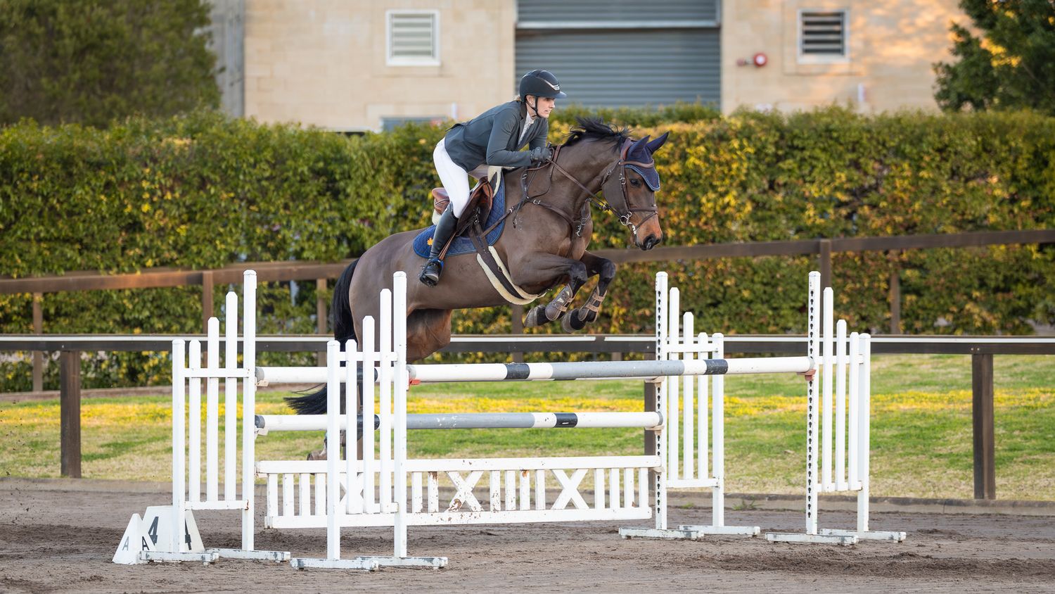 Mel Heygate & Oaks Quebec competing in the Amateur Series at the JNSW Winter Classic. © Simon Scully, 2025.