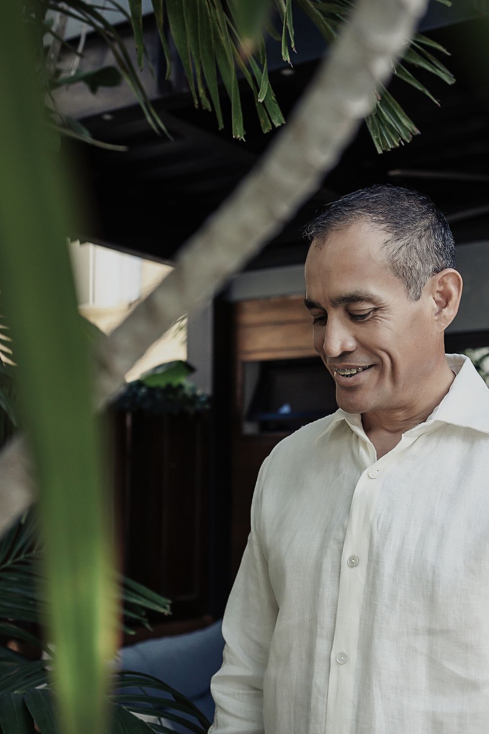 A peaceful scene in a tropical garden with dappled sunlight filtering through palm fronds.