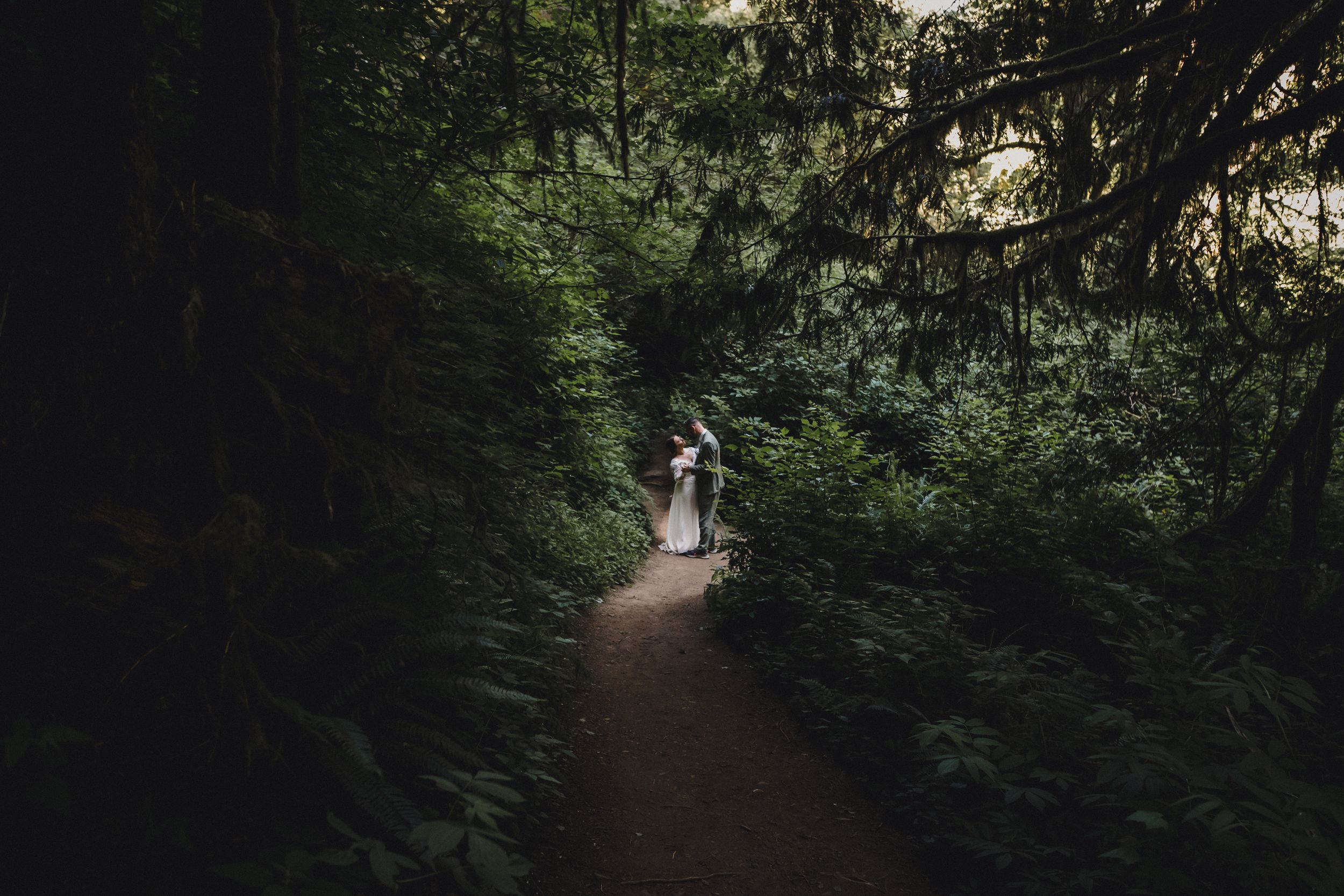 A silhouetted couple walks along a lush forest trail surrounded by dense greenery.