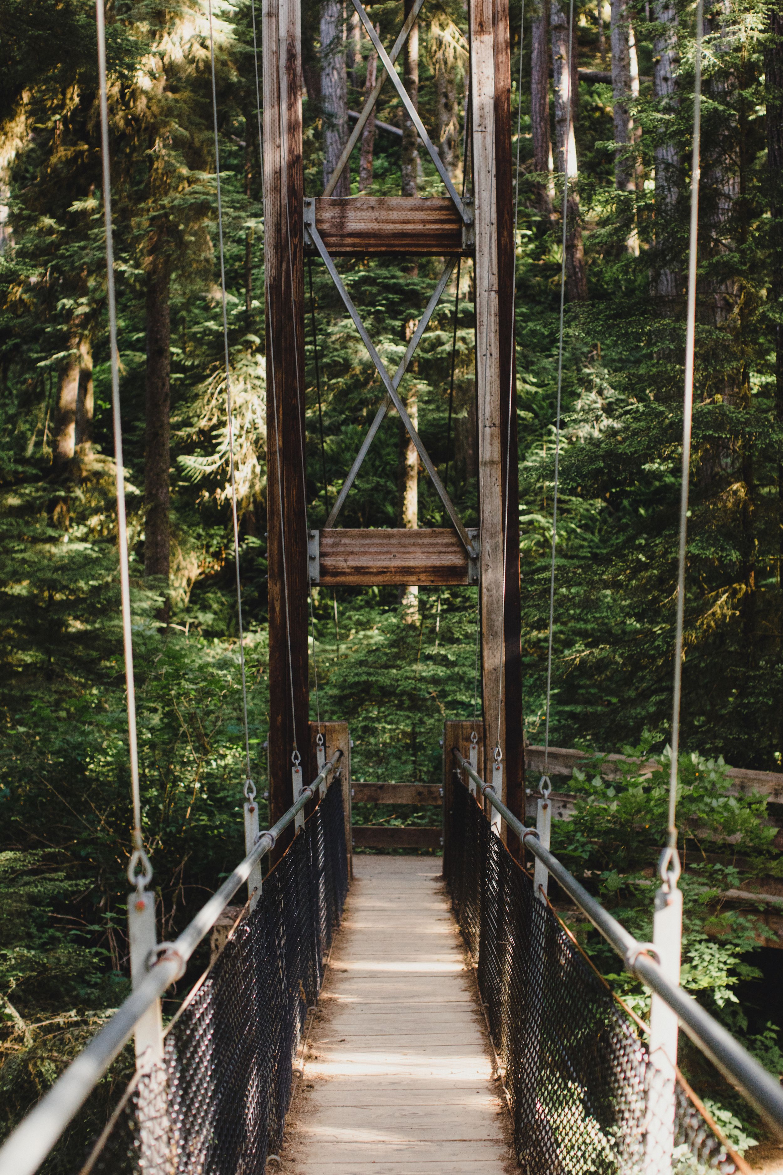 Long wooden suspension bridge walkway through lush green forest with sunlight peeking through trees.