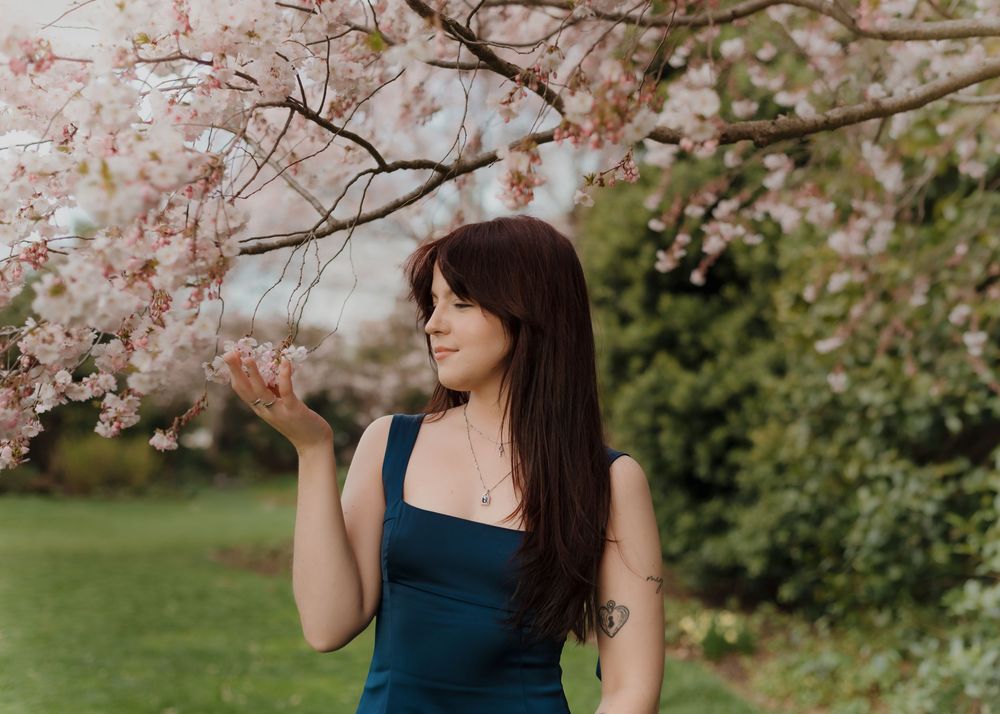 Cherry blossoms frame a springtime scene in a lush garden with delicate pink petals against green foliage.