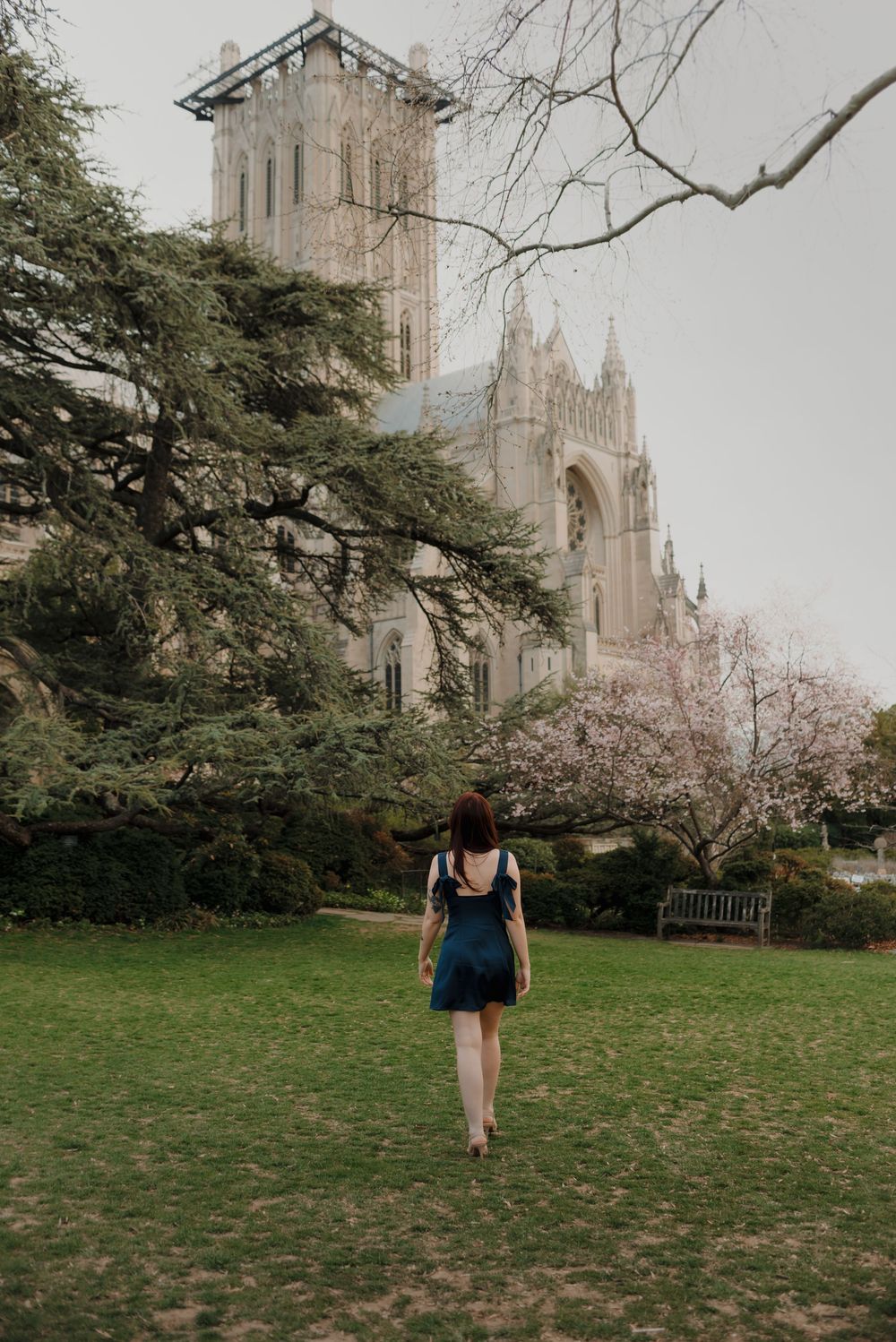 A Gothic cathedral's spires tower over a green lawn with blooming trees in early spring.