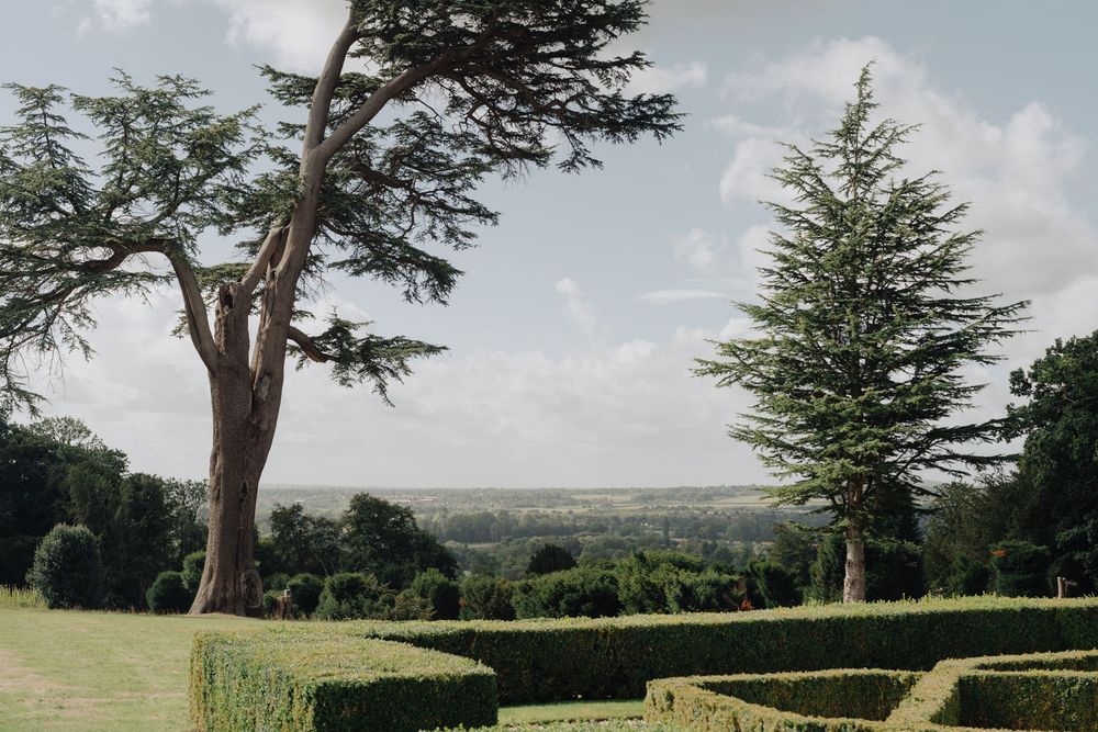 Scenic landscape view of rolling hills and tall trees with manicured hedges in foreground.