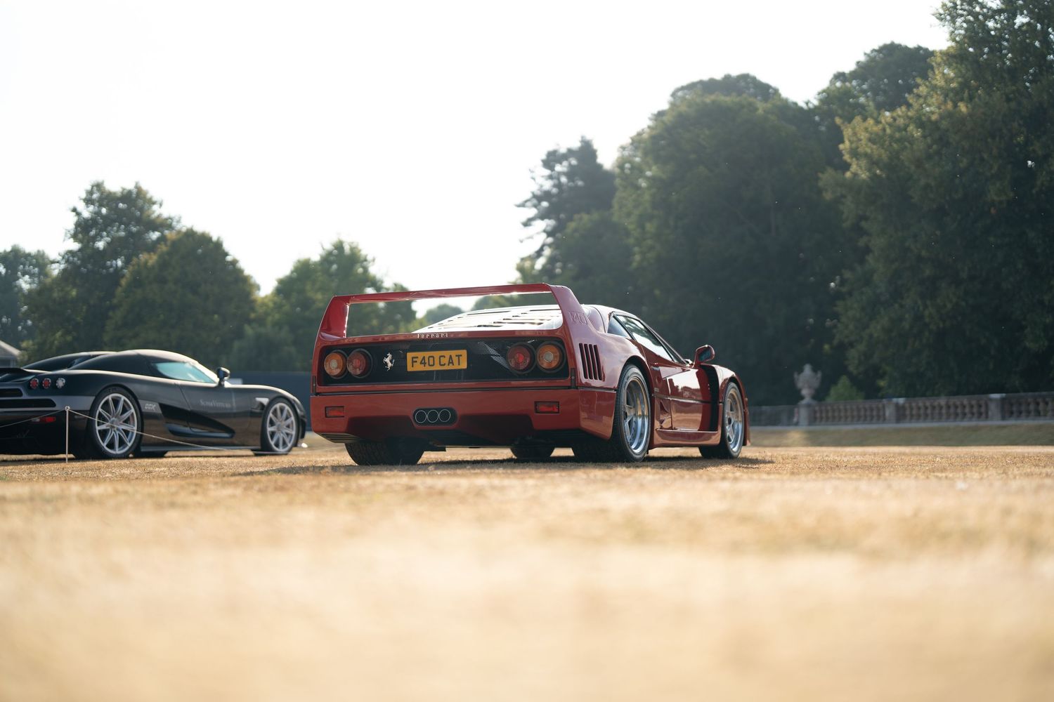 Sports cars lined up in a golden field during late afternoon light.