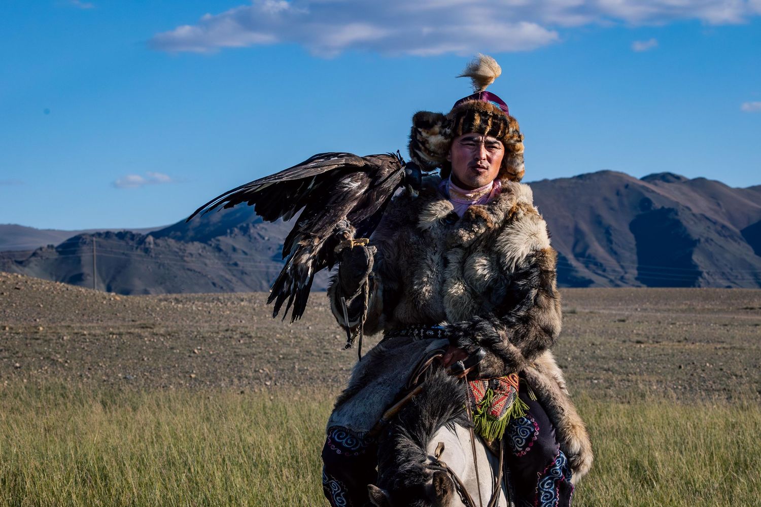 A golden eagle soars against a blue sky with mountains in the background.