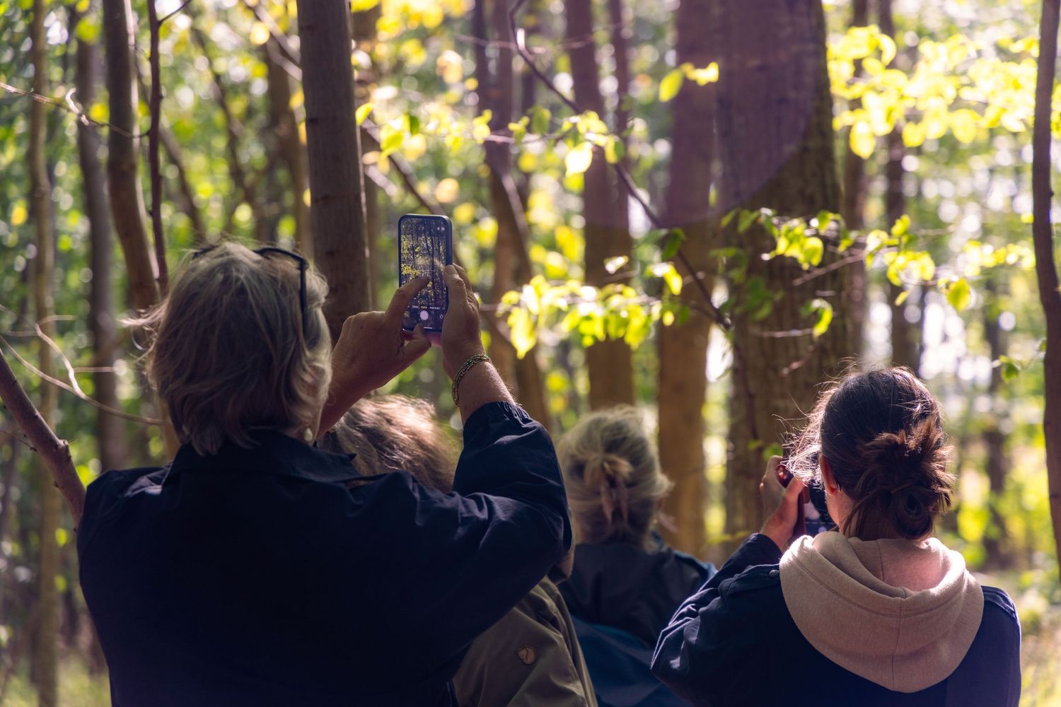 People taking photos in a sunlit autumn forest with glowing yellow leaves in the background.