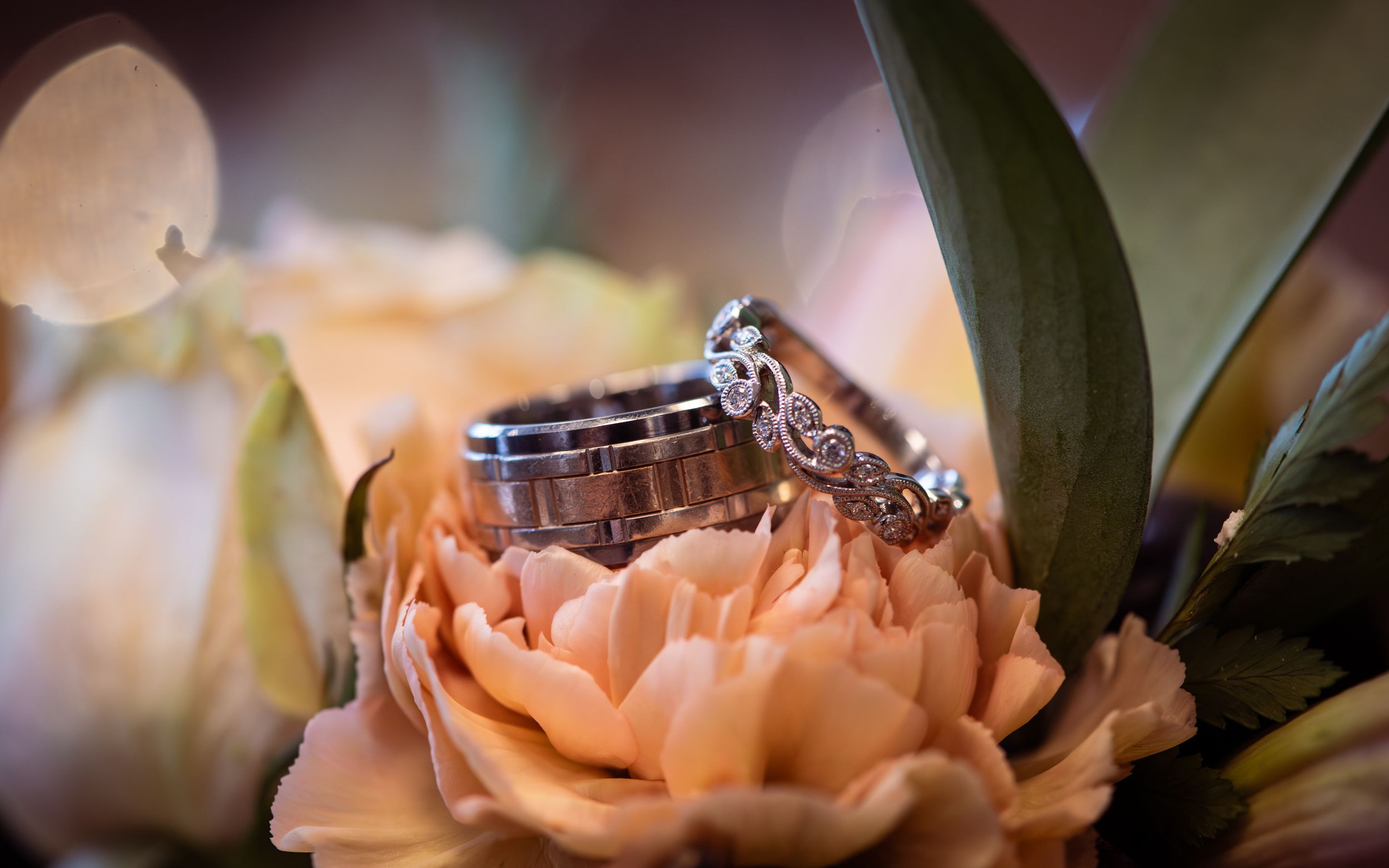 Wedding rings nestled on a peach-colored rose bloom with green leaves in soft focus background.