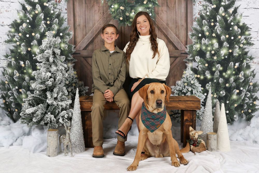 Winter photo session with evergreen trees and rustic wooden backdrop.