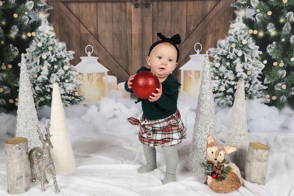Winter wonderland photo setup with rustic barn door and snowy trees.