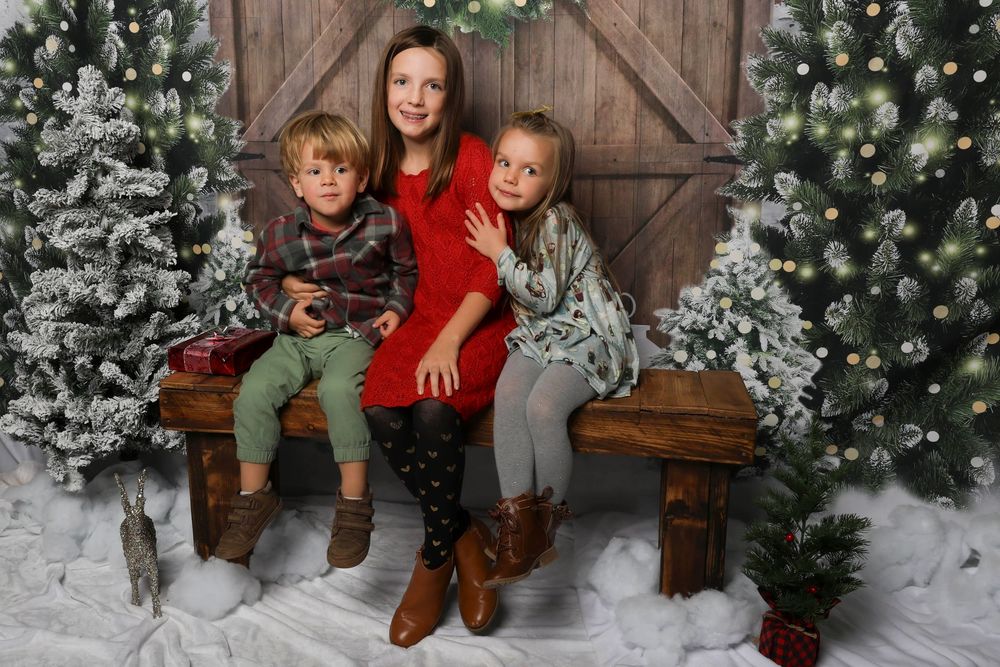 Christmas photo setting with decorated evergreen trees, wooden barn door, and snow-covered floor.