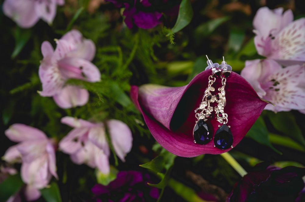 Close-up of delicate pink alstroemeria flowers with dark purple accents blooming in a garden.