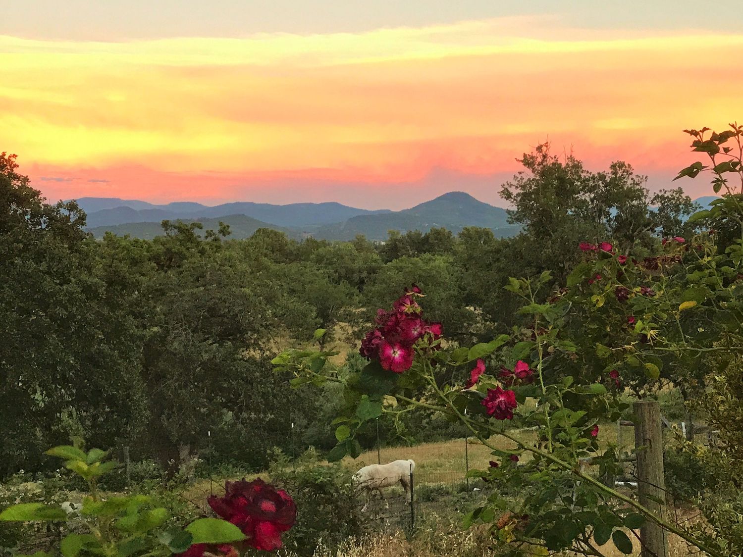 Panoramic sunset view over mountain ridges with vibrant orange and pink sky illuminating the landscape.