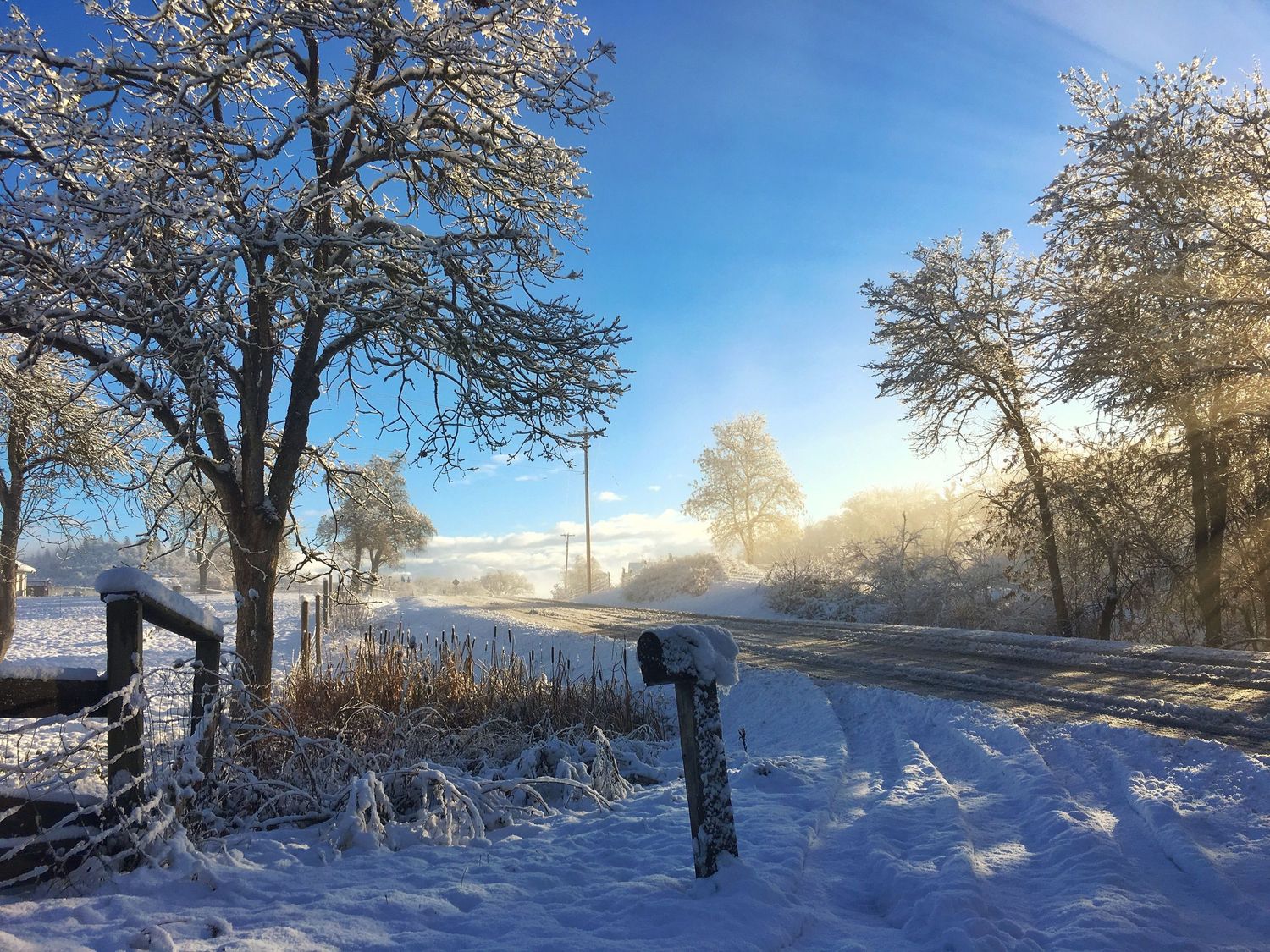 A snowy winter landscape with frost-covered trees lining a rural road on a bright sunny day.