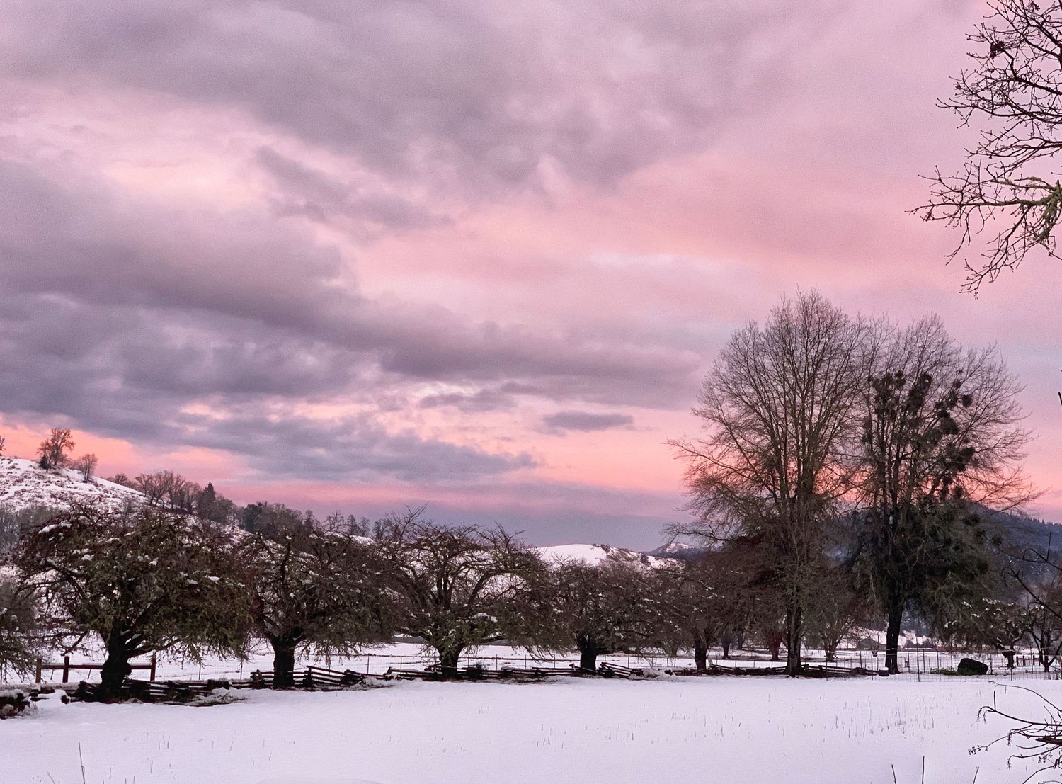Snow-covered landscape with bare trees silhouetted against a pink and purple winter sunset sky.