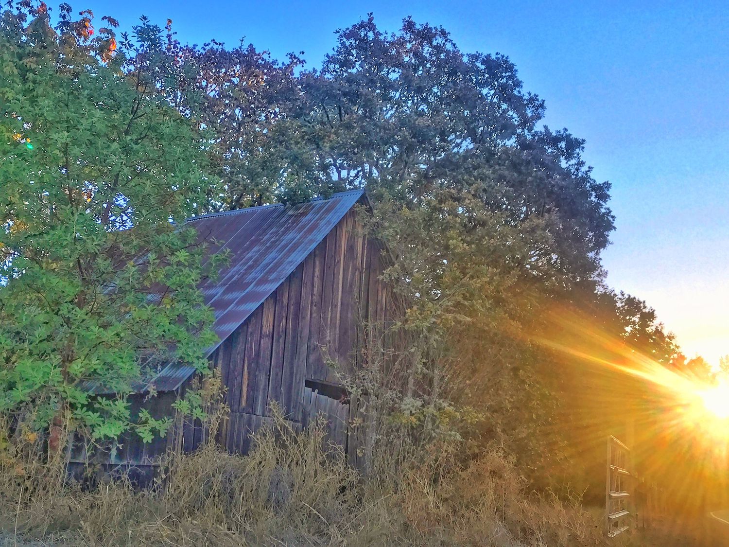 Rustic wooden barn silhouetted against a vibrant sunset with sun rays peeking through trees in a rural landscape.