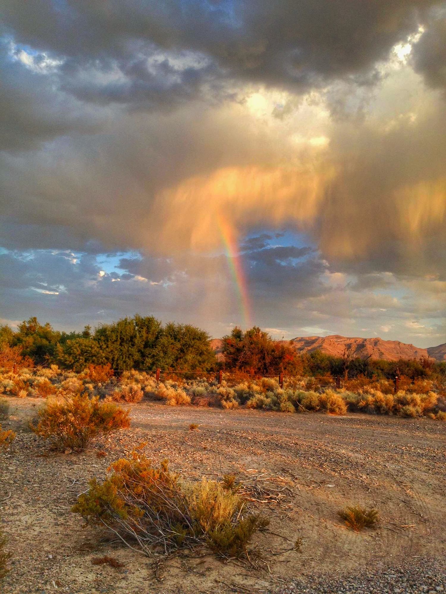 Desert landscape with dramatic storm clouds and a vibrant rainbow stretching across the sky at sunset.