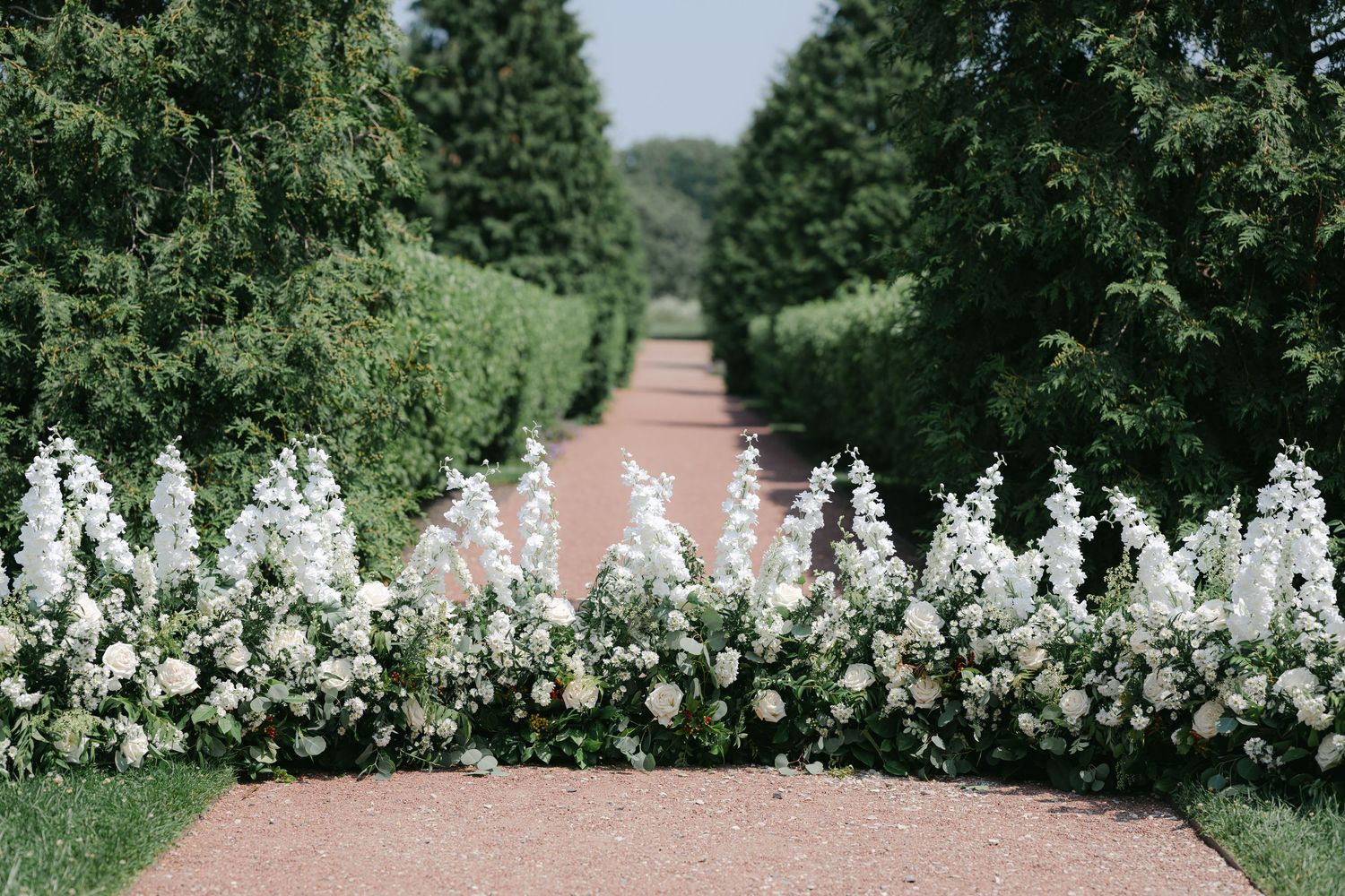 A lush garden path lined with white flowering bushes and trees creates a romantic outdoor walkway. - Elawa Farm