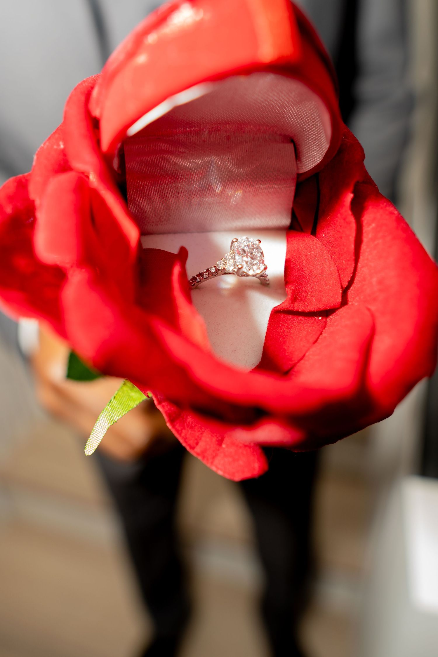 A sequence of photos showing a red rose being used to present an engagement ring in a romantic proposal setting.