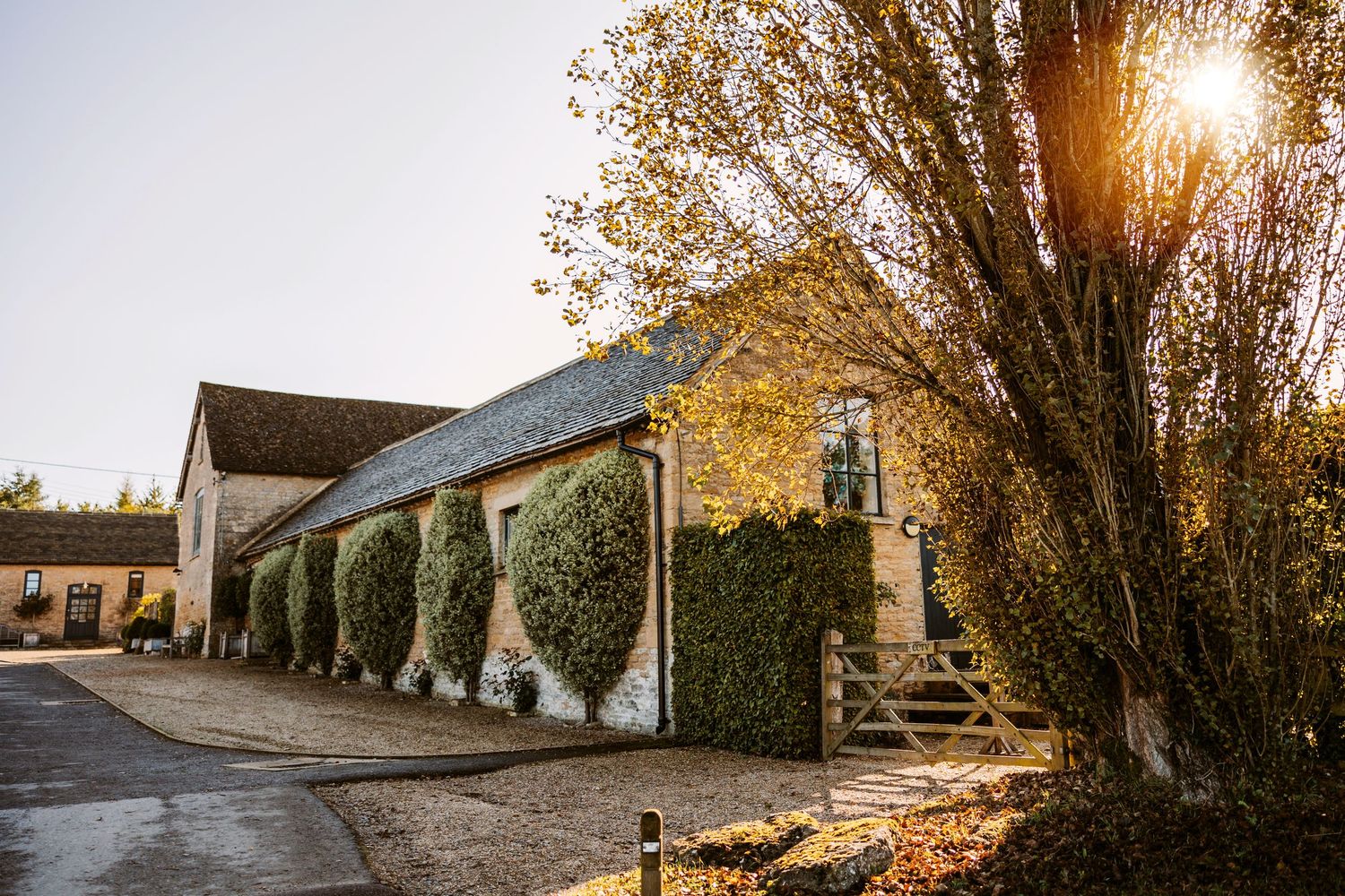 Sunlight bursts through autumn trees along a rural road with rustic buildings and golden foliage.