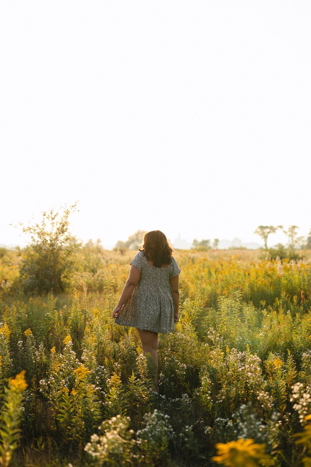 A person walks through a golden field of wildflowers at sunset with warm sunlight illuminating the meadow.