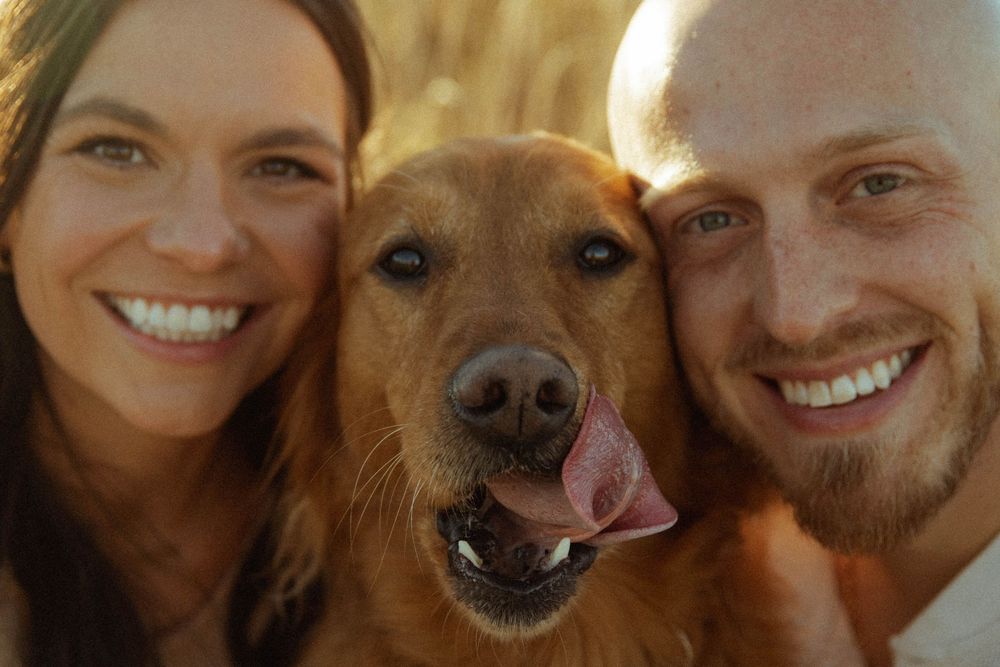 Happy couple smiling in a close selfie with their golden retriever dog licking its nose outdoors.