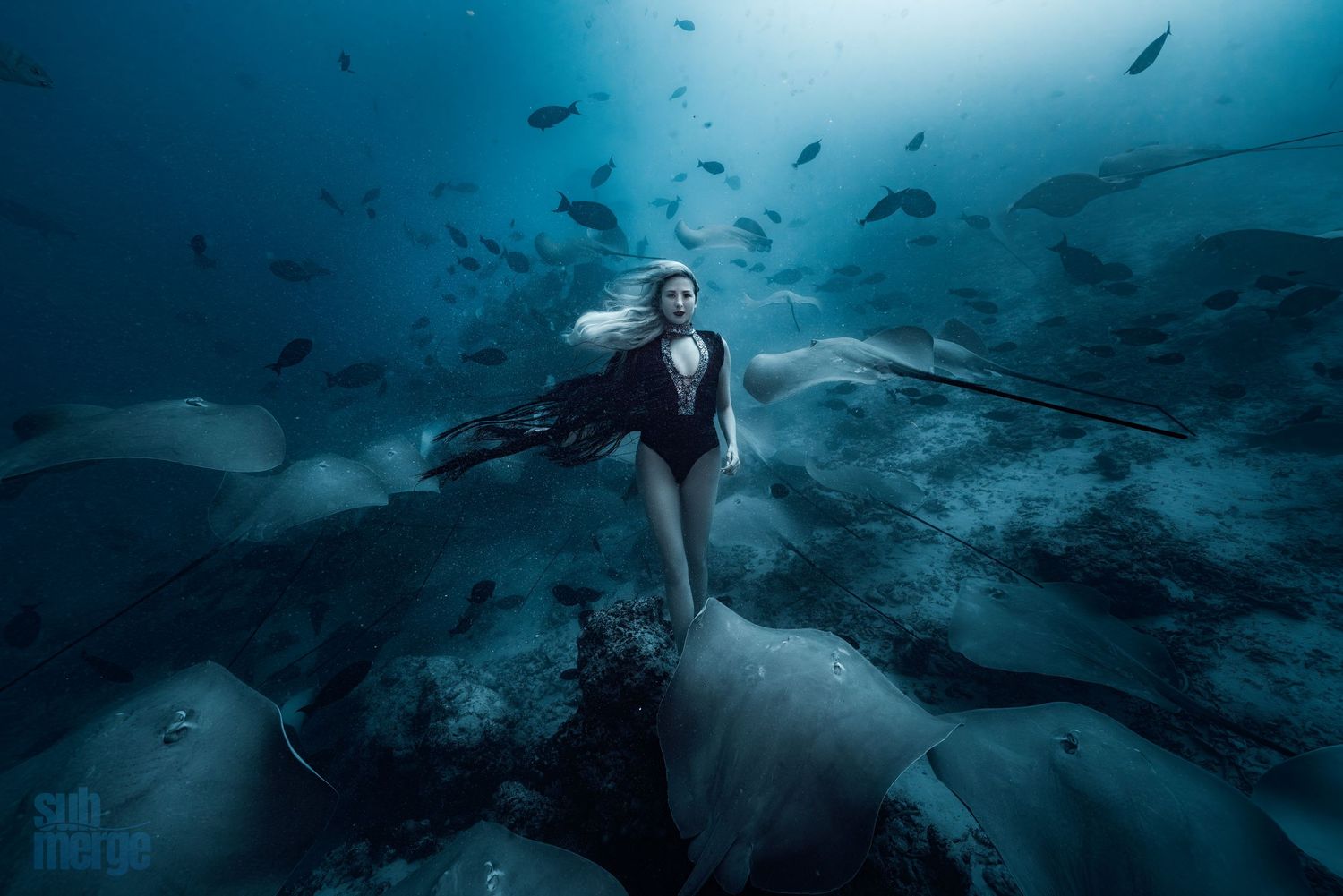 A scuba diver explores an underwater ice cave with fish swimming in the deep blue glacial waters.