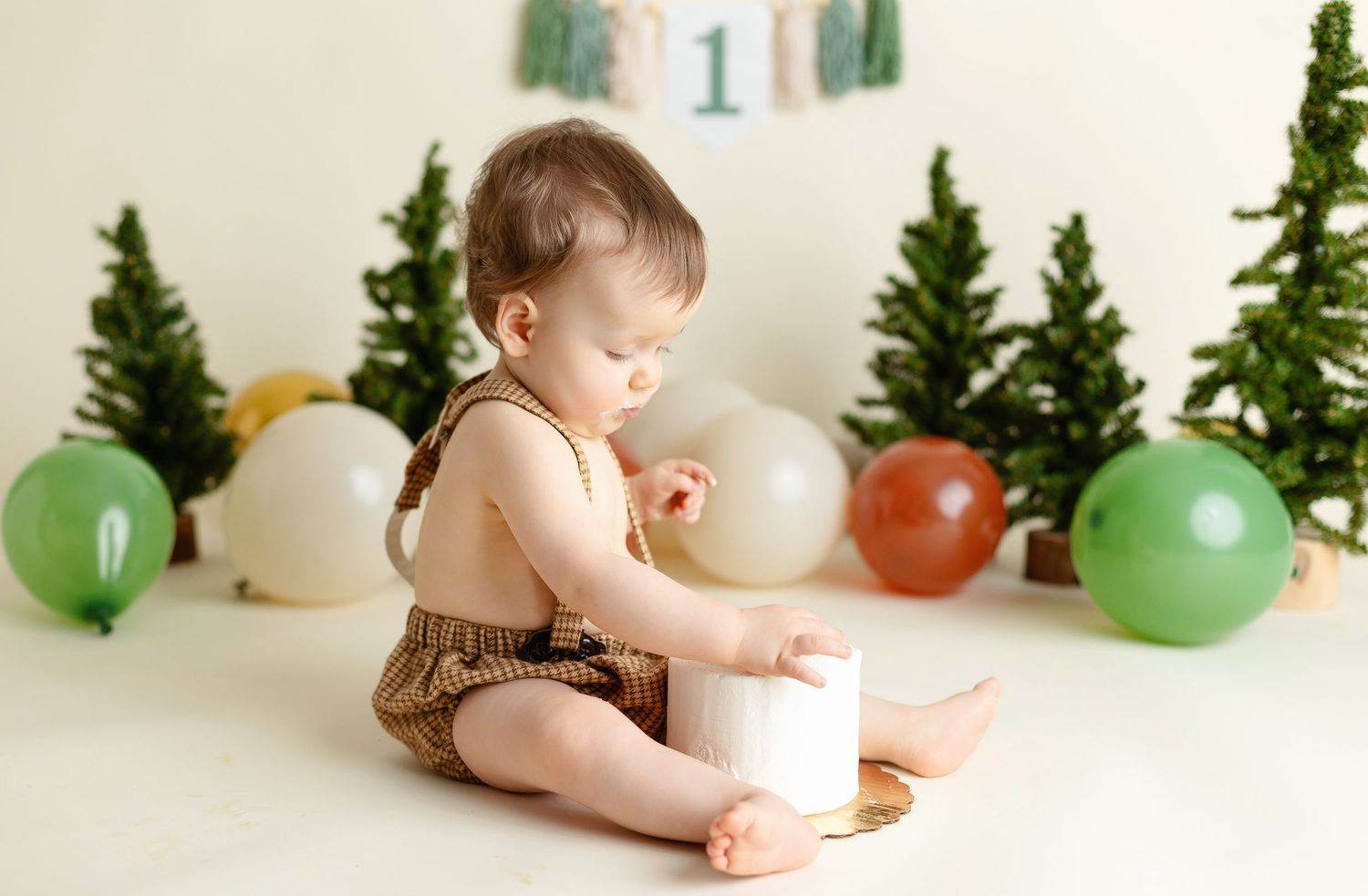 He was one year old during his smash the cake session. Greenville SC newborn photographer, Easley SC newborn photographer