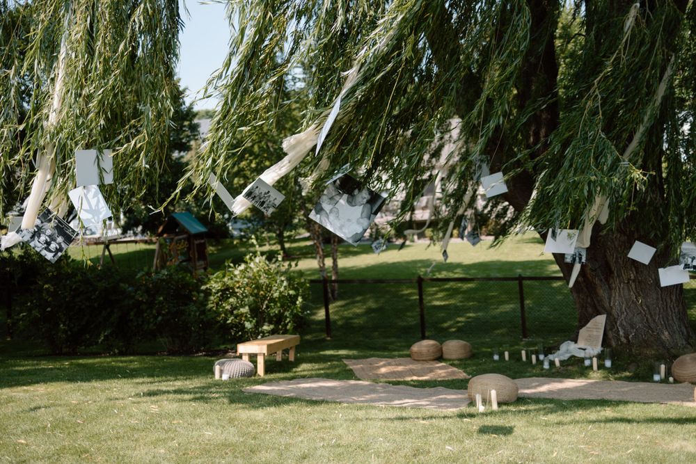 Sheets and clothes hang from a willow tree in a peaceful garden setting, creating a dreamy outdoor display.