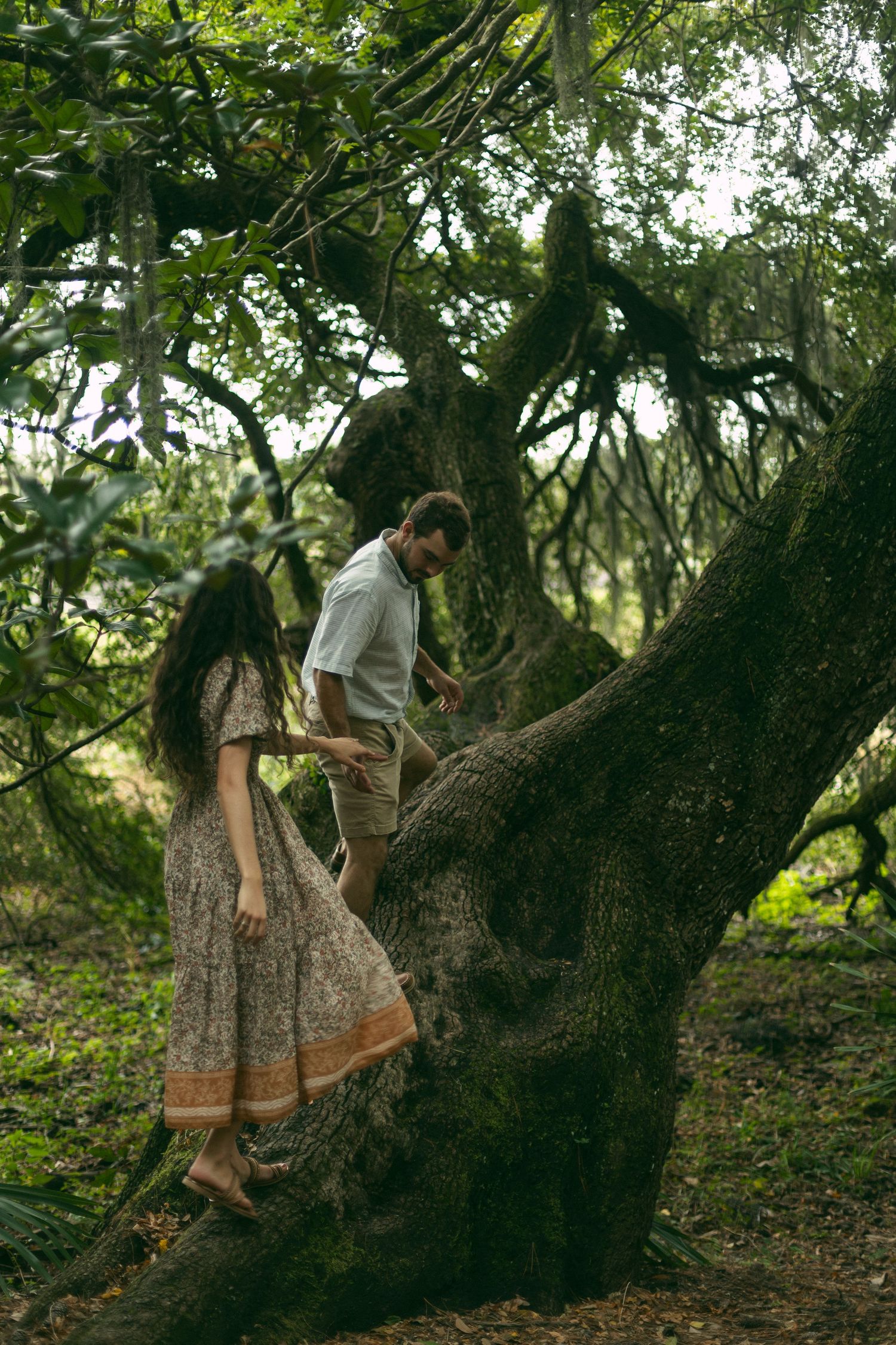 A couple explores together while climbing on a large tree in a mossy garden.