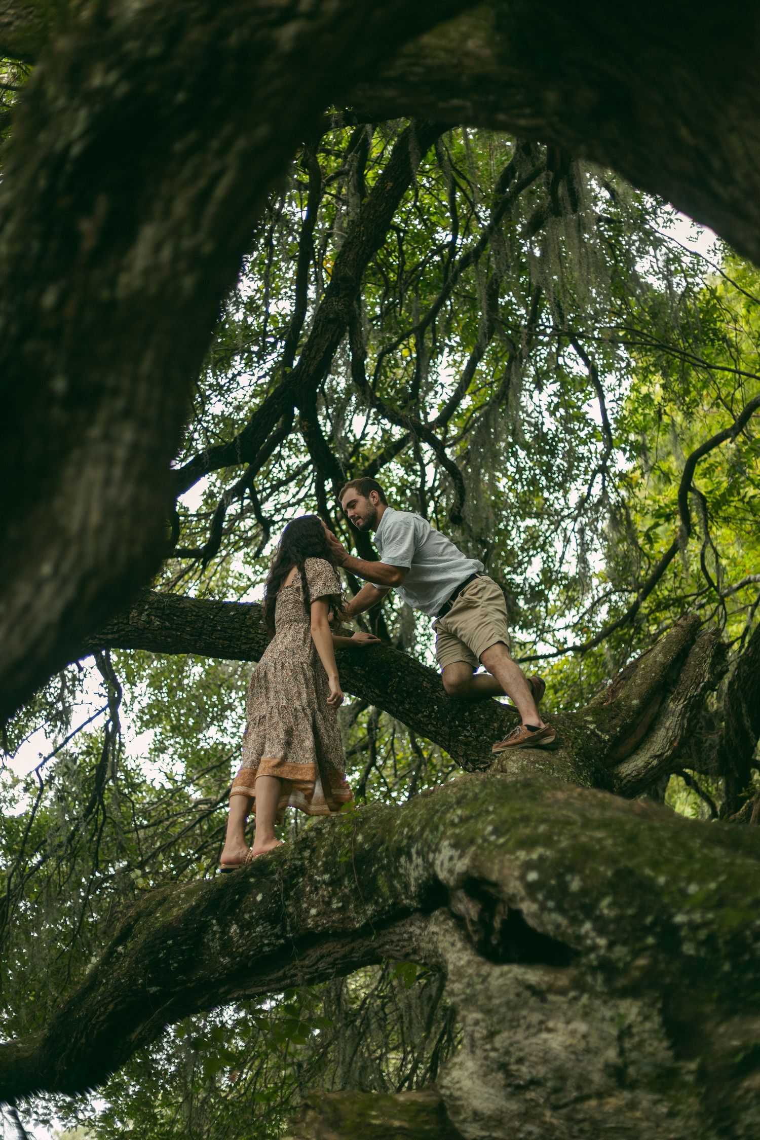 A couple sits together on a large tree branch draped with Spanish moss in a scenic outdoor setting.
