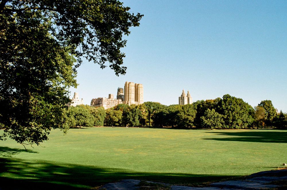View of Central Park with historic Manhattan buildings visible along the skyline.