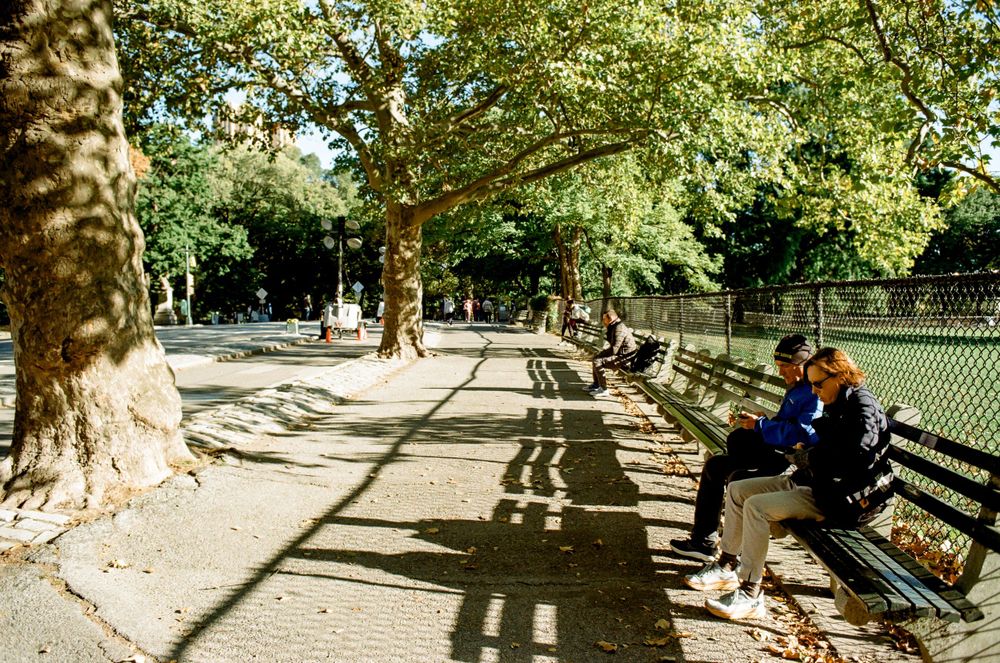 Tree-lined path through Central Park with people resting on benches in dappled sunlight.
