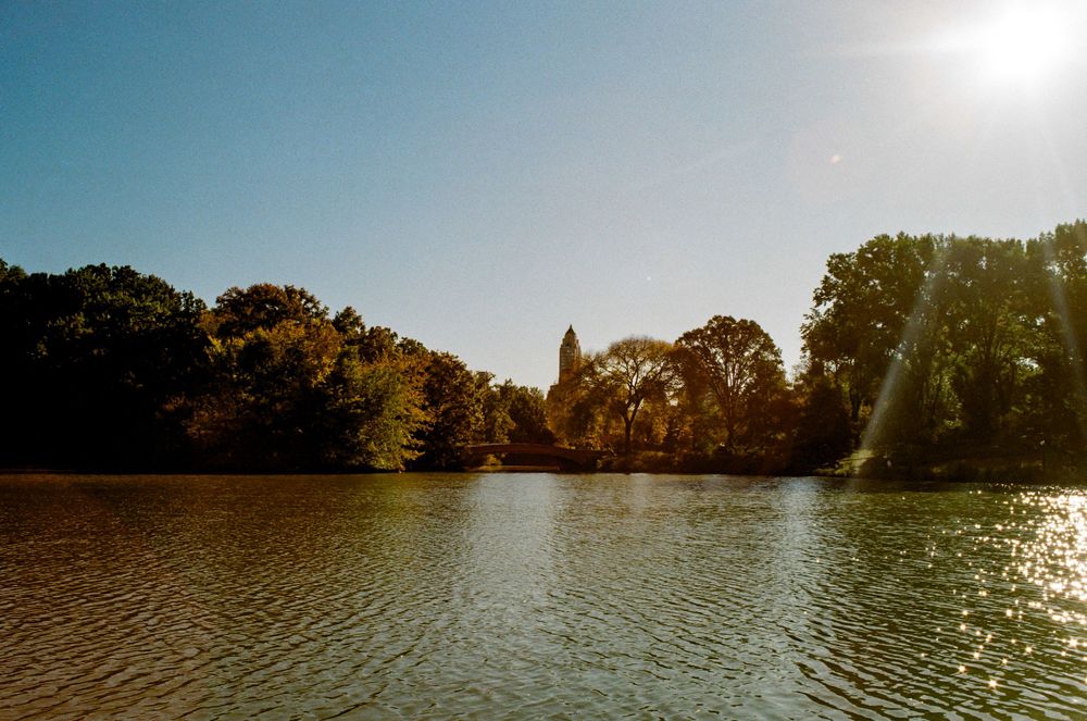 Serene lake view in Central Park with trees and buildings reflecting in the calm water.