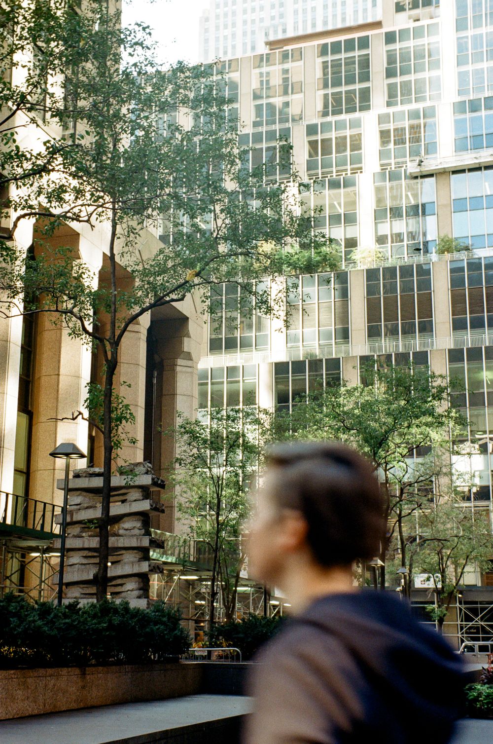 Modern glass office buildings and trees in an urban plaza setting.