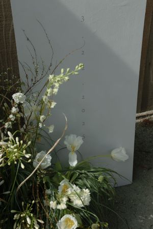 White tulips and delicate floral arrangements cast shadows against a pale gray wall creating a minimal spring aesthetic.